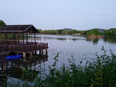 -上海市保健医疗中心