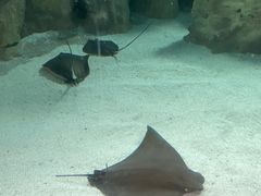 -珠海长隆海洋王国