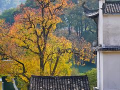 -塔川景区