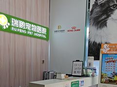 -瑞鹏宠物医院·微创内窥镜·骨外科·牙科(翠竹分院)