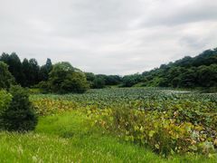 -福建鲤鱼洲酒店