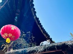 -龙华素斋(龙华路店)