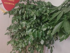 -感智盲人按摩·艾灸·肩颈SPA(岗厦店)