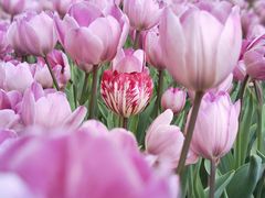 -渣打银行（中国）(北京分行)