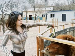 -水上乐园·欢乐世界