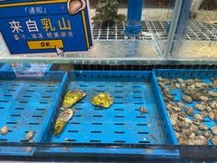 -双合园·海鲜水饺青岛菜(上清路店)