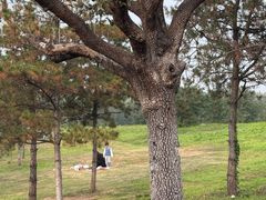 -西安汉城湖景区