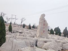 -原山国家森林公园