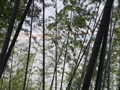 -无锡君来洲际酒店