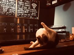 -后院儿·精酿·塔罗Happy Bar