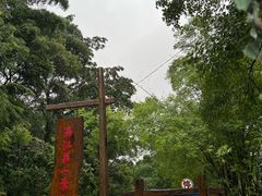 -桂林兴坪漓江
