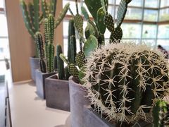 -蜜桃餐厅·伴山(湖滨商业街店)