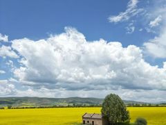 -中国天府农业博览园