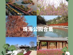 -芒洲湿地公园