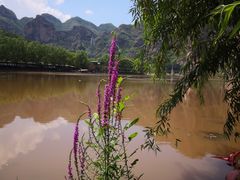 -十渡东湖港风景区