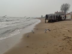 -老虎石海上公园