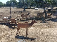 -西安秦岭野生动物园