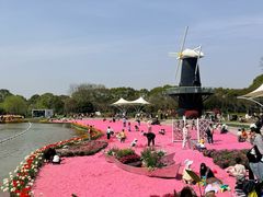 -上海鲜花港