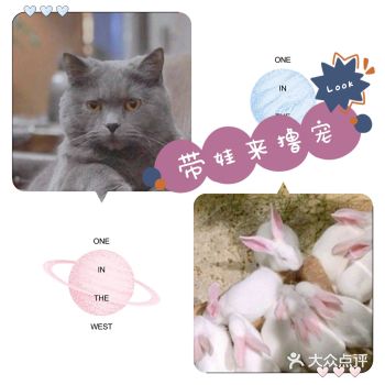六一来跟小动物玩耍吧！