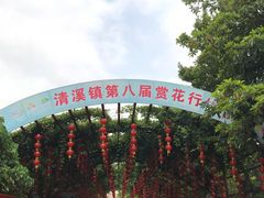 门面-清溪森林公园
