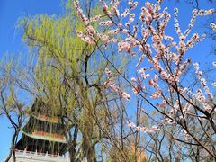 -迎泽公园
