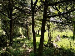 -齐岳山