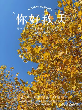 BS｜遛娃｜魔都的秋季如初恋般美好而短暂啊
