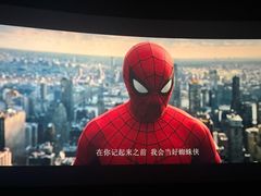 -CGV影城(壹方城IMAX店)