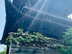 -鲁镇