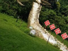 -青青世界