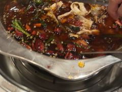 -乡土特色.冷锅鱼.牦牛肉汤锅