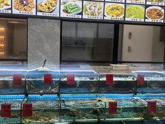 -洲晓鲜·舟山海鲜大排档(朱家尖风景区店)