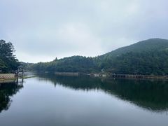 -庐山风景区花径公园