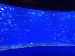 -波塞冬旅游度假区