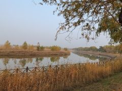 -野鸭湖国家湿地公园