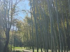 -采石矶景区