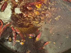 -重庆川渝肥妹火锅