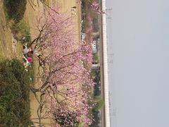 -秀丽东方