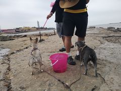 -东戴河风景区-止锚湾