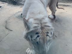 -杭州野生动物世界