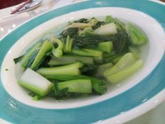 冰川菜心（盐水）-南海食街(佛冈店)