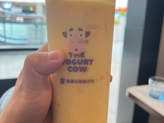 -一只酸奶牛(兰州中心店)