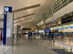 -达拉斯 沃斯堡国际机场