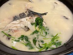 -老淳安—伴山伴湖(千岛湖开元度假村店)