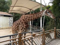 -泉州海丝野生动物世界