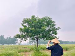 -汉长安城未央宫国家考古遗址公园