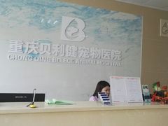 -宠颐生贝利健动物医院(谢家湾分院)