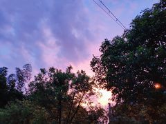 -铁山坪森林公园