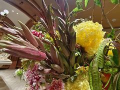 -BEAST野兽派(上海浦东嘉里城店)