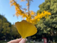 -苏州河梦清园环保主题公园